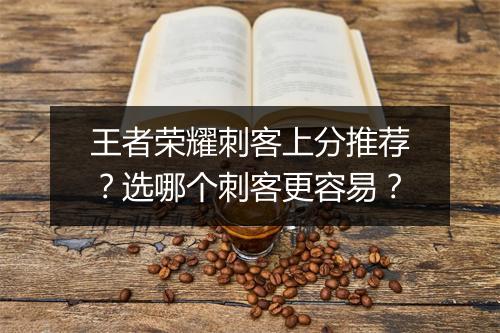 王者荣耀刺客上分推荐?选哪个刺客更容易?