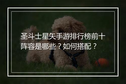 圣斗士星矢手游排行榜前十阵容是哪些?如何搭配?