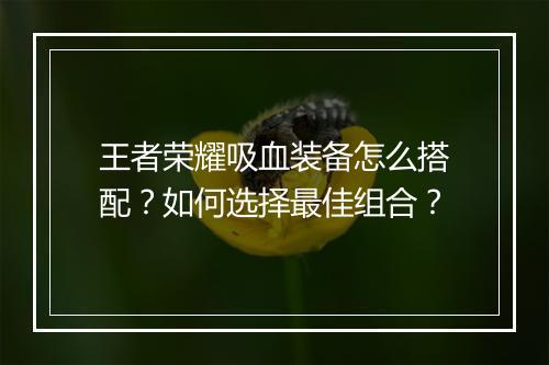 王者荣耀吸血装备怎么搭配?如何选择最佳组合?