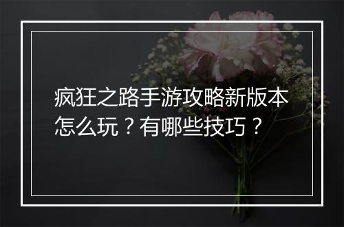 疯狂之路手游攻略新版本怎么玩?有哪些技巧?