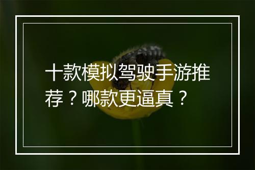 十款模拟驾驶手游推荐?哪款更逼真?