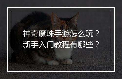 神奇魔珠手游怎么玩?新手入门教程有哪些?