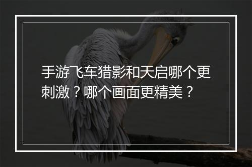 手游飞车猎影和天启哪个更刺激?哪个画面更精美?