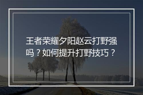 王者荣耀夕阳赵云打野强吗?如何提升打野技巧?
