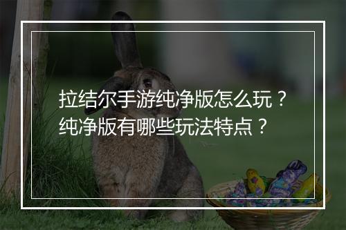 拉结尔手游纯净版怎么玩?纯净版有哪些玩法特点?