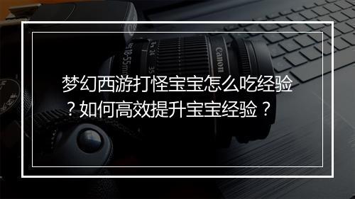 梦幻西游打怪宝宝怎么吃经验?如何高效提升宝宝经验?