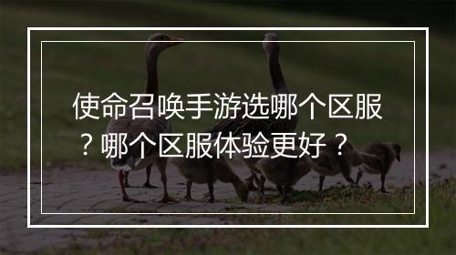 使命召唤手游选哪个区服?哪个区服体验更好?