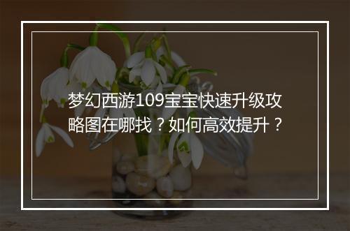 梦幻西游109宝宝快速升级攻略图在哪找?如何高效提升?