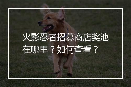 火影忍者招募商店奖池在哪里?如何查看?