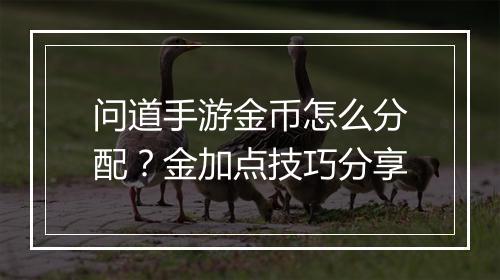 问道手游金币怎么分配？金加点技巧分享