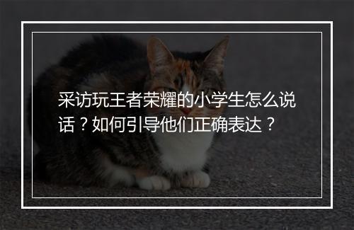 采访玩王者荣耀的小学生怎么说话？如何引导他们正确表达？