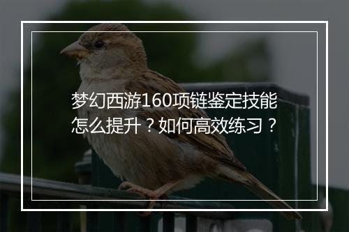 梦幻西游160项链鉴定技能怎么提升?如何高效练习?