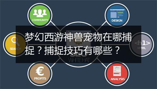 梦幻西游神兽宠物在哪捕捉?捕捉技巧有哪些?