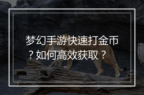 梦幻手游快速打金币?如何高效获取?