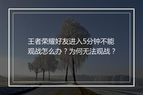 王者荣耀好友进入5分钟不能观战怎么办?为何无法观战?