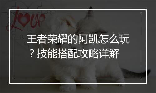 王者荣耀的阿凯怎么玩?技能搭配攻略详解