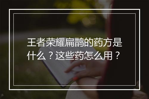 王者荣耀扁鹊的药方是什么?这些药怎么用?