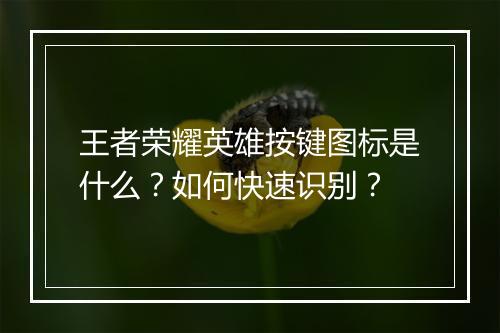 王者荣耀英雄按键图标是什么?如何快速识别?