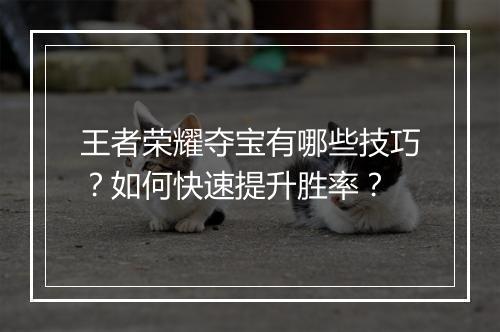 王者荣耀夺宝有哪些技巧?如何快速提升胜率?