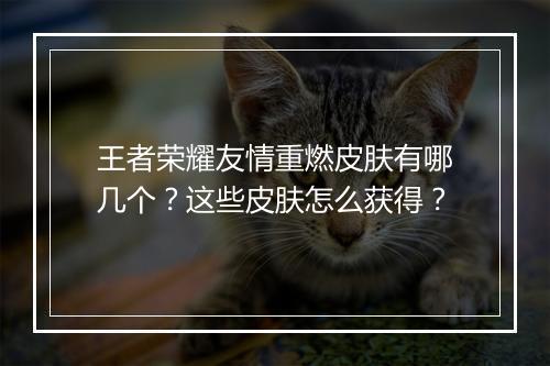 王者荣耀友情重燃皮肤有哪几个?这些皮肤怎么获得?