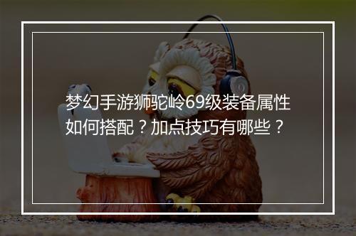 梦幻手游狮驼岭69级装备属性如何搭配?加点技巧有哪些?