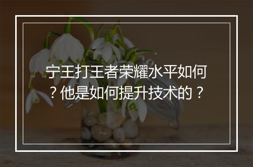 宁王打王者荣耀水平如何?他是如何提升技术的?