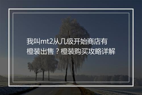 我叫mt2从几级开始商店有橙装出售?橙装购买攻略详解