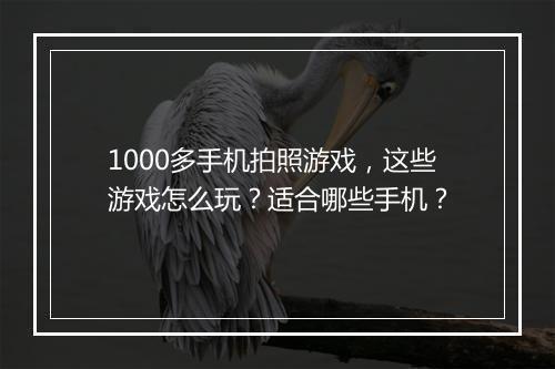 1000多手机拍照游戏,这些游戏怎么玩?适合哪些手机?