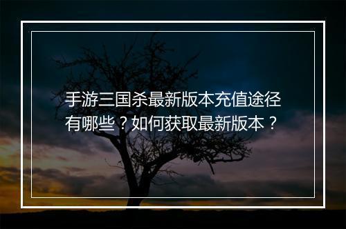 手游三国杀最新版本充值途径有哪些?如何获取最新版本?