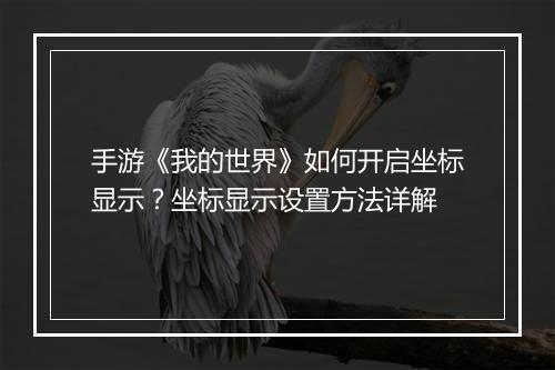 手游《我的世界》如何开启坐标显示?坐标显示设置方法详解