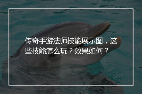 传奇手游法师技能展示图,这些技能怎么玩?效果如何?
