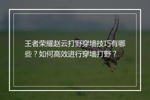 王者荣耀赵云打野穿墙技巧有哪些?如何高效进行穿墙打野?