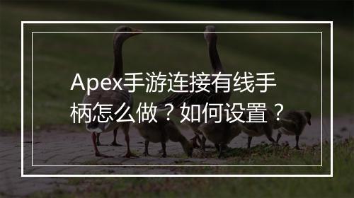 Apex手游连接有线手柄怎么做?如何设置?