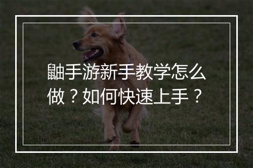 鼬手游新手教学怎么做?如何快速上手?