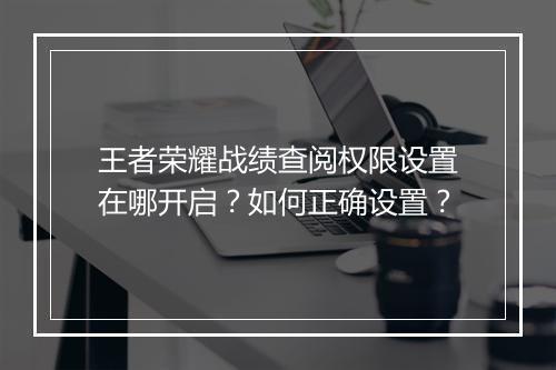 王者荣耀战绩查阅权限设置在哪开启?如何正确设置?