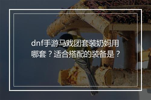 dnf手游马戏团套装奶妈用哪套?适合搭配的装备是?
