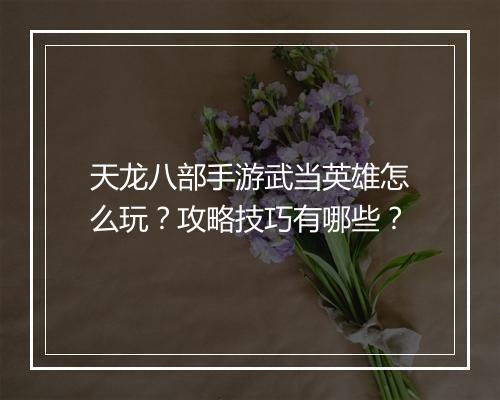 天龙八部手游武当英雄怎么玩?攻略技巧有哪些?