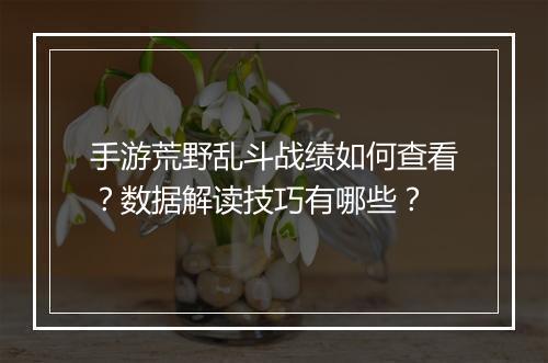手游荒野乱斗战绩如何查看?数据解读技巧有哪些?