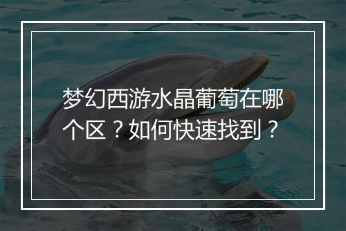 梦幻西游水晶葡萄在哪个区?如何快速找到?