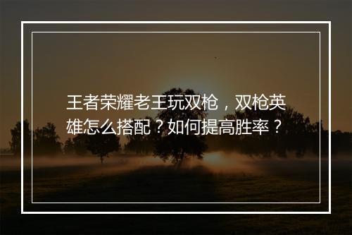 王者荣耀老王玩双枪,双枪英雄怎么搭配?如何提高胜率?