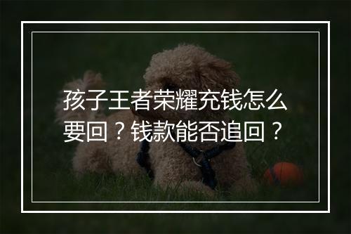 孩子王者荣耀充钱怎么要回?钱款能否追回?