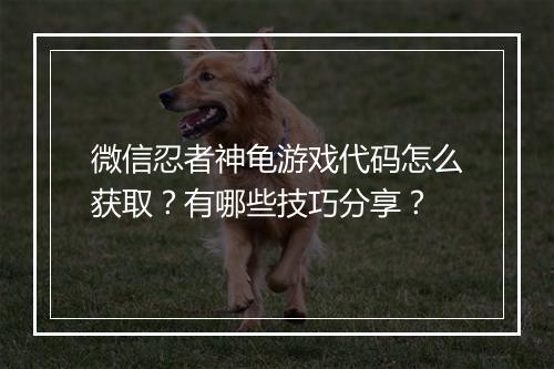 微信忍者神龟游戏代码怎么获取?有哪些技巧分享?