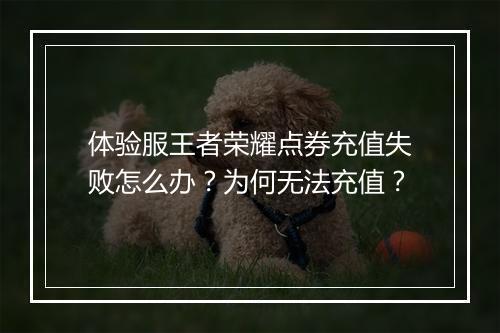 体验服王者荣耀点券充值失败怎么办?为何无法充值?