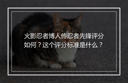 火影忍者博人传忍者先锋评分如何?这个评分标准是什么?