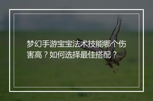 梦幻手游宝宝法术技能哪个伤害高?如何选择最佳搭配?