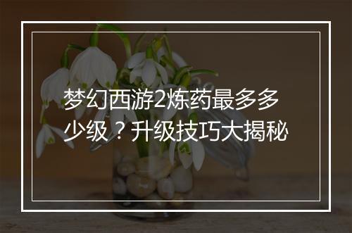 梦幻西游2炼药最多多少级?升级技巧大揭秘