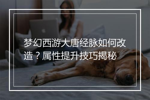梦幻西游大唐经脉如何改造?属性提升技巧揭秘