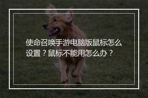 使命召唤手游电脑版鼠标怎么设置?鼠标不能用怎么办?