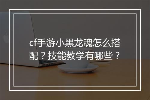 cf手游小黑龙魂怎么搭配?技能教学有哪些?