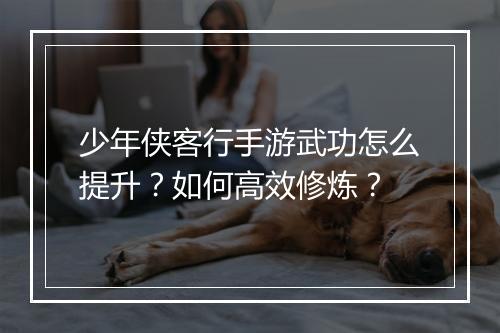 少年侠客行手游武功怎么提升?如何高效修炼?